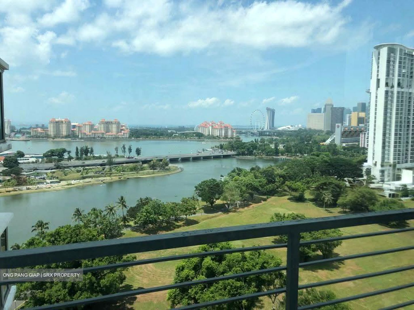 The Riverine By The Park (D12), Apartment #554763971